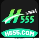 h555 game