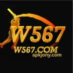 w567 game