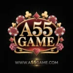 a55 game