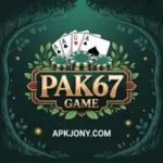 PAK67 Game