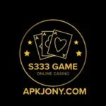 S333 Game