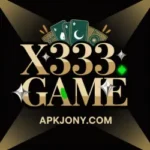 x333 game