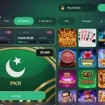 "Top Online Casino in Pakistan: Play Slots, Poker & More - Safe & Secure"